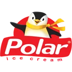 POLAR Ice Cream Packaging